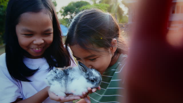 Two asian girls taking a picture and playing with baby bunny.