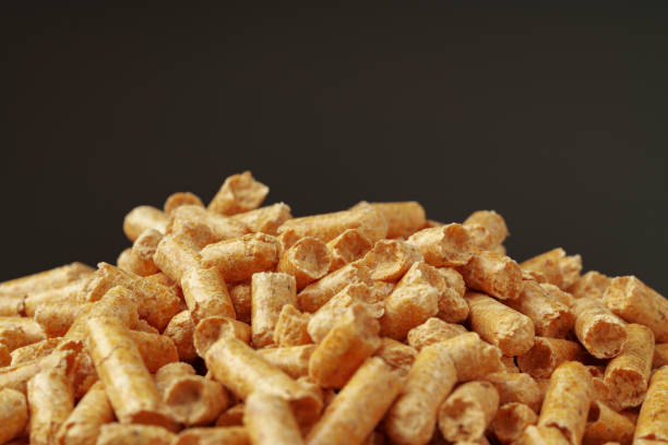 istock Wood pellets biofuel pile on gray background 1924045973