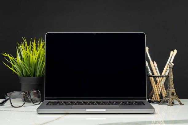 istock Laptop with green leafy potted plant on black background 1924046208