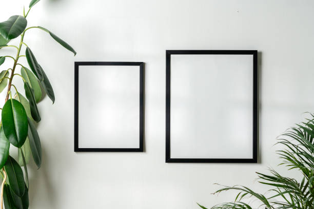 istock Black frames and houseplant against white wall copy space 1924072846