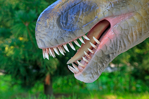 dinosaur head sculpture