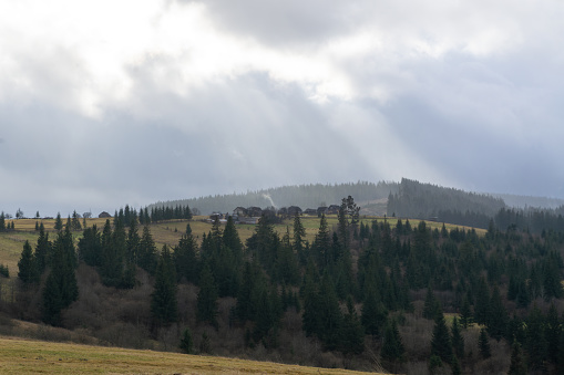 Snowless winter in Carpathian mountain. In nature