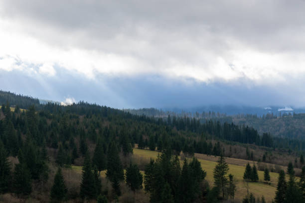 Snowless winter in Carpathian mountain. In nature. Outdoor activity