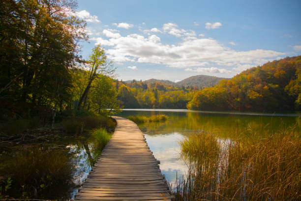 istock Pier above a lake in Plitvice 1924127691