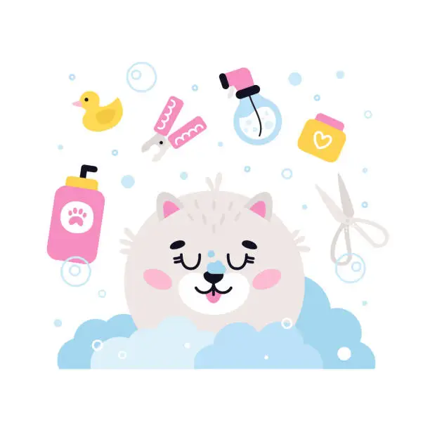 Vector illustration of Dog pet grooming. Caring about Pomeranian spitz. Pet washing and barber service. Flat vector illustration