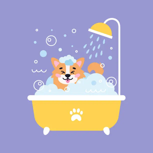 Vector illustration of Dog pet grooming. Caring about dog Corgi. Pet washing in bath with watering can for shower. Flat vector illustration