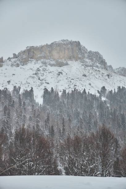 istock Winter mountain landscape. Trees and mountains are covered with snow. 1924160889
