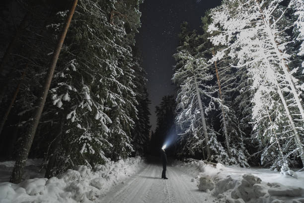 istock Night scene, a man with a flashlight in the snowy pine forest in winter. Starry sky. 1924171519