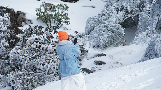 A woman traveling in cold weather in snow-covered mountains and trees