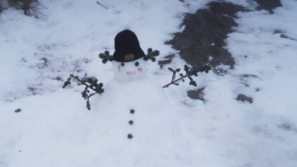 A small happy snowman stands on a bush that is covered with snow.