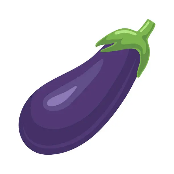 Vector illustration of Eggplant. Vector flat clipart isolated on white background.