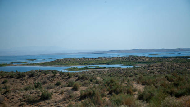 istock a green land in the desert 1924233951