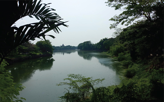 views of a city park in the middle of a beautiful lake or river and the activities of local residents and the continuity of animals and blooming flowers