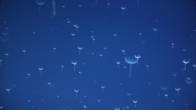 Flying Dandelion Seeds on a Blue Background