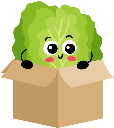 Scalable vectorial representing a funny green lettuce mascot in cardboard box, element for design, illustration isolated on white background.