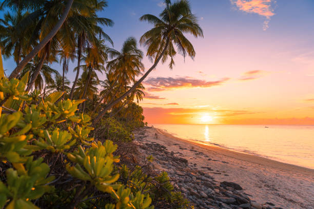 istock Tropical beach with coconut palms with sunrise or sunset and quiet ocean 1924331290