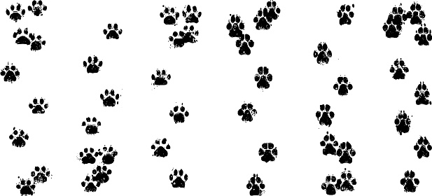 Cats prints (left) and dog prints (right).