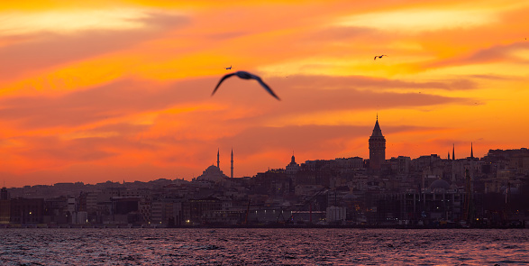 Galata Tower view with Bosphorus tour in Istanbul