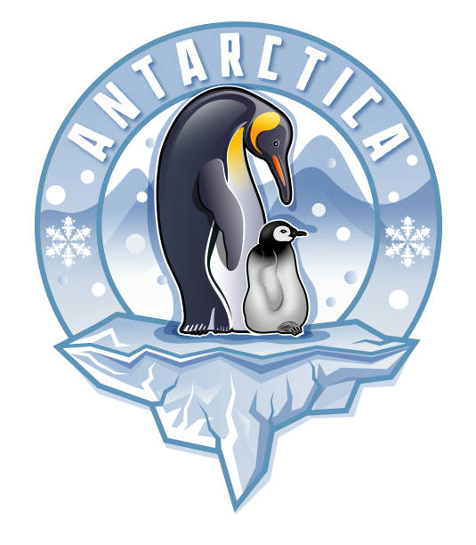 ilustrações de stock, clip art, desenhos animados e ícones de antarctica king penguin with chick or fledgling standing on iceberg illustration - penguin animal white background king penguin