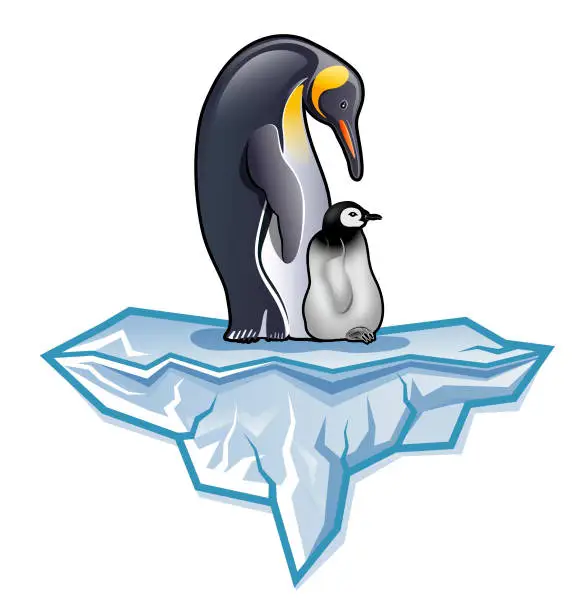 Vector illustration of Antarctica King penguin with chick or fledgling standing on Iceberg illustration