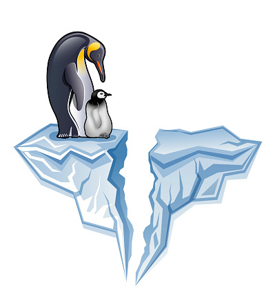 Antarctica King penguin with chick or fledgling standing on broken Iceberg illustration