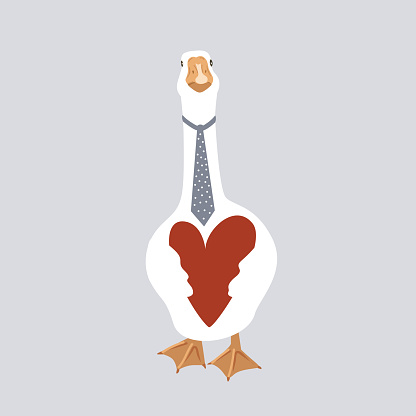 Cute goose holding a big red heart. Bird in love, Valentine design element isolated on white. Vector illustration.