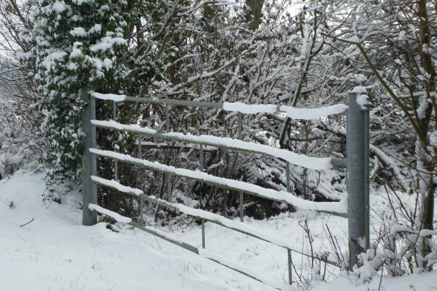 Free Stock Photo of A Fence in the Middle of a Snowy Field | Download ...