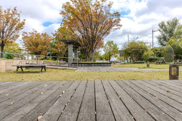 Wooden deck in a park with autumn leaves