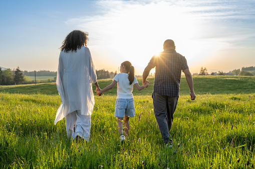 Rear view of parents with daughter walking in dandelion meadow.