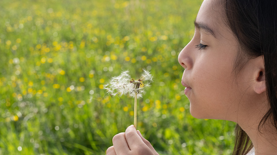 Side view of girl blowing dandelion seeds in meadow.