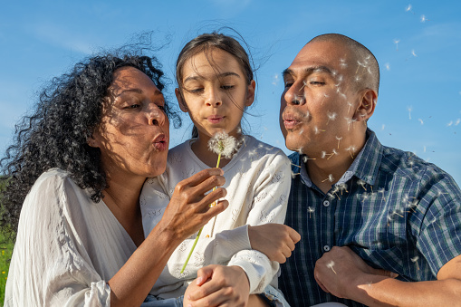 Parents with her daughter blowing dandelion seeds.