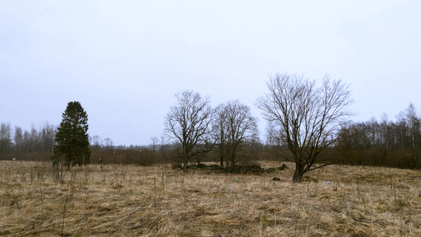 istock The ruins in the field 1924460741