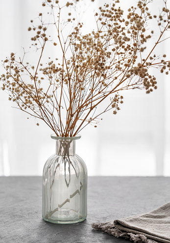 Dry gypsophila flowers in glass vase on a blue textured background with napkin in Scandinavian style. Free space for text.