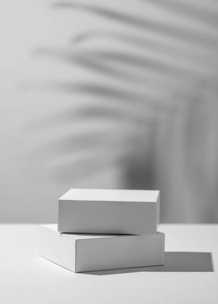 istock Empty podium for product. Minimal two white boxes on a light background with palm leaf shadow. 1924462369