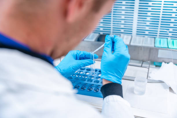 istock Doctor using pipette in a hospital laboratory 1924463439