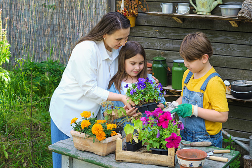 Hand in Soil, Heart in Family: A loving mother teaches her children the essence of gardening, imbuing life skills and creating lasting memories
