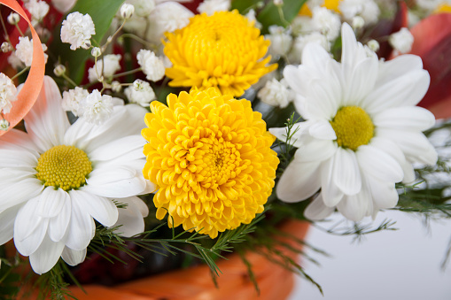 Background of bouquet of different flowers of different colors