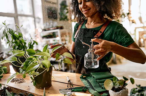 Cropped image of female gardener holding flowerpot leaf and spraying it with water from clear glass sprayer. Plant care, flower shop, small business.