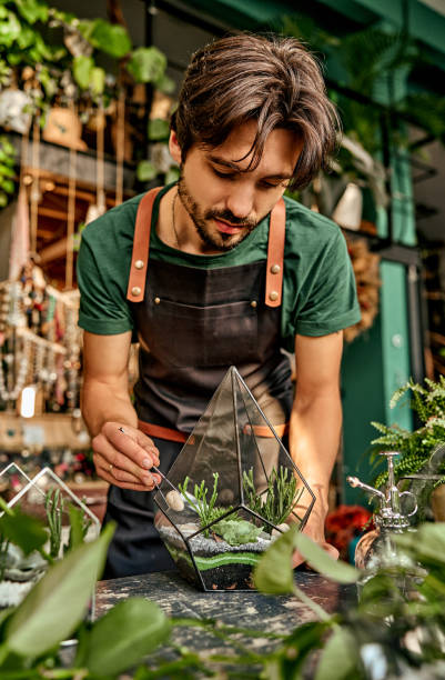 istock Mastery in gardening. Concentrated caucasian man using tweezers while creating floristic composition in glass terrarium. Bearded male employee in black apron adding natural stones in mini garden. 1924486213