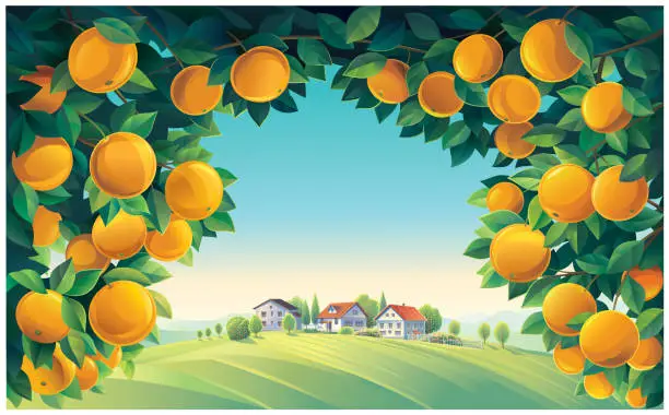 Vector illustration of Rural scenery, with orange tree branches in the foreground.