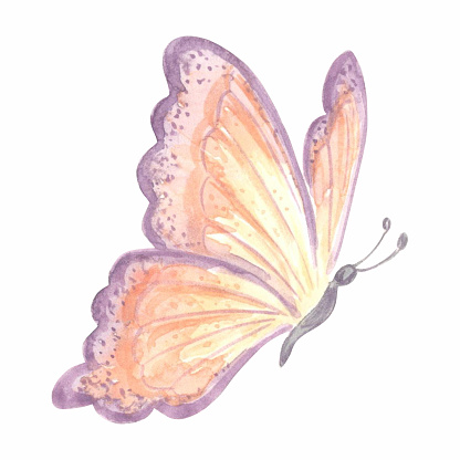 Watercolor flying butterfly delicate peach fuzz color. Isolated hand drawn illustration spring exotic wild insect. Template drawing for card, packaging and tableware, textile and sticker, embroidery.