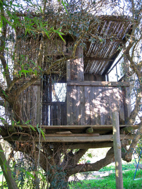 A mix of tree branches and foliage creates a natural frame for a rustic building facade with green shuttered windows in the background. The layers of greenery and the weathered surface of the building evoke a tranquil and timeless countryside setting