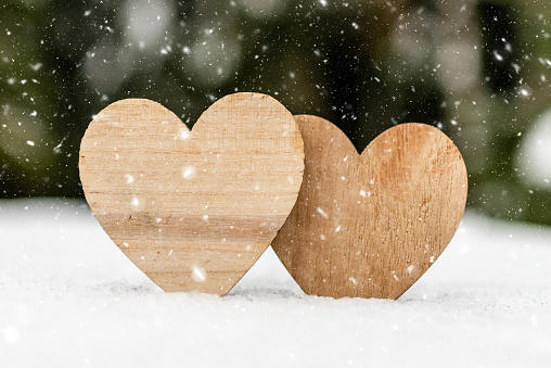 Two wooden heart on the snow,blurred forest trees background.Valentine heart in winter forest, cold weather. heart symbol of romantic love, background for holiday.Copy space.