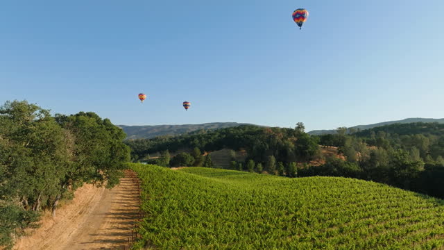 Hot Air Balloons Flying over the countryside