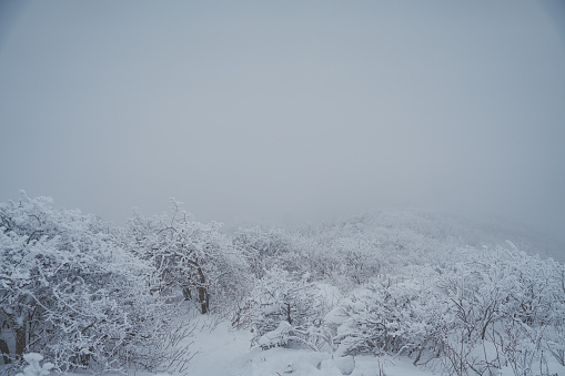 Hilly landscape covered in hoarfrost