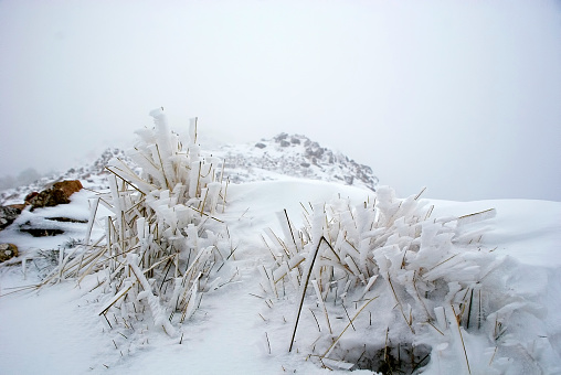 The landscape on the Marlborough Hwy between Little Pine Lagoon and Miena after a spring snow storm in the Central Highlands in Tasmania Australia