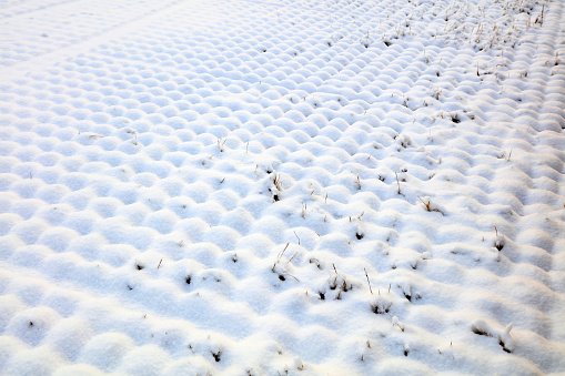 Snow texture