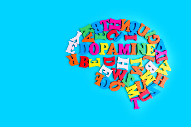 istock Letters Forming Brain Shape Centered around 'Dopamine' Word 1924642660