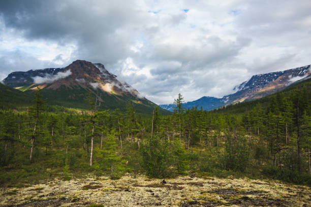 istock Forest on Putorana Plateau, Taimyr landscape. Russia 1924648545