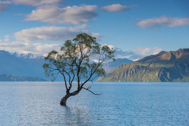 istock Lake Wanaka Day and Night 1924662038